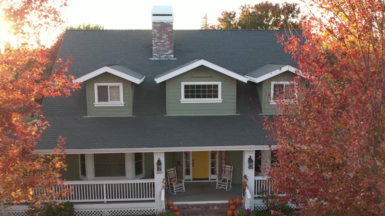 Best Rubber Roofing (EPDM, TPO)  in Merrionette Park, IL